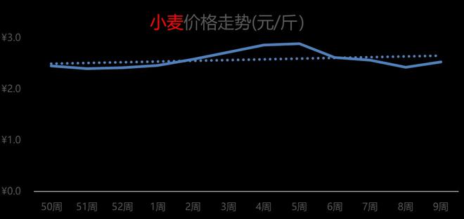 山東今日小麥最新價格動態分析