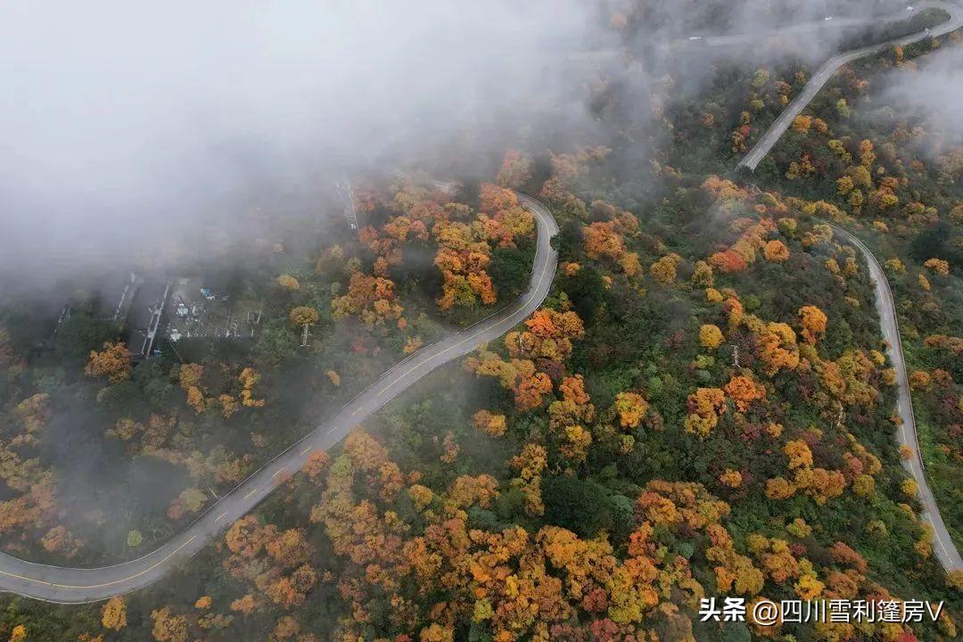 峨眉最新招聘信息3099，職場機遇與挑戰揭秘