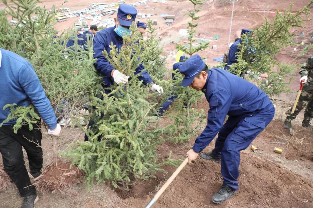 面达乡交通新篇章，迈向现代化交通的里程碑