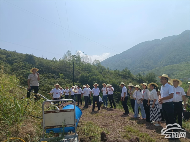 泥溪乡新项目启动，乡村振兴新引擎