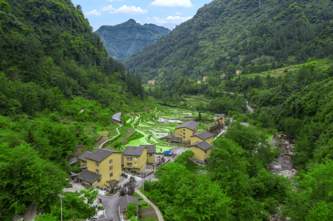 卧虎沟乡新项目，乡村发展的璀璨明珠引领前行