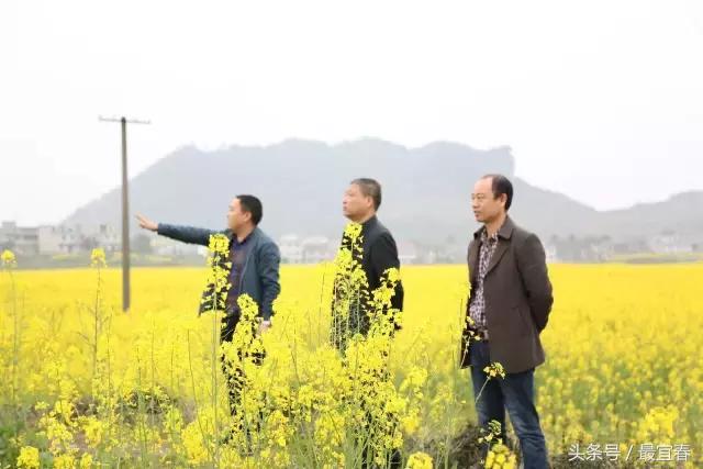 华山村委会天气预报更新通知